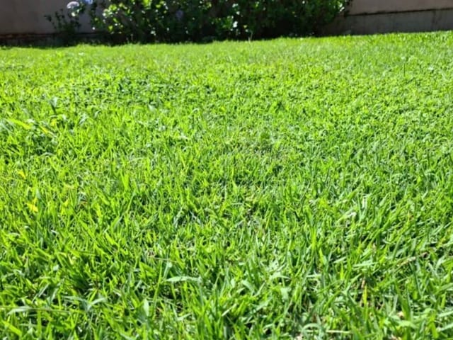 Terreno com 484m², à venda, no bairro Condomínio Residencial Alphaville II em São José dos Campos