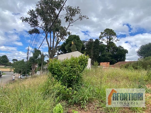 Terreno à venda, no bairro Santa Felicidade em Curitiba