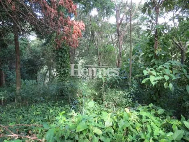 Terreno com 2041m², à venda, no bairro Jardim Santana em Campinas