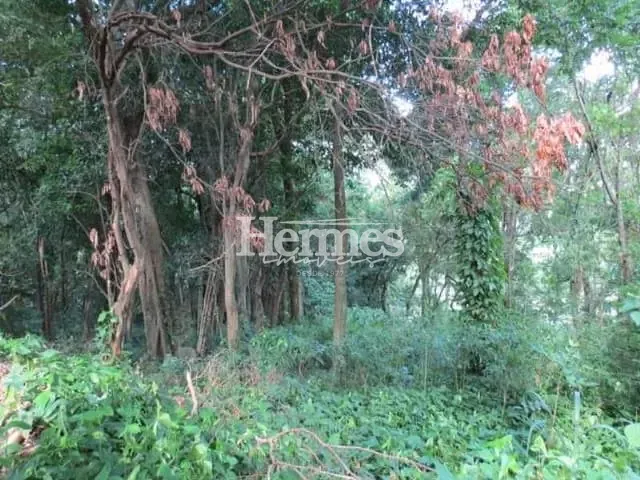 Terreno com 2041m², à venda, no bairro Jardim Santana em Campinas