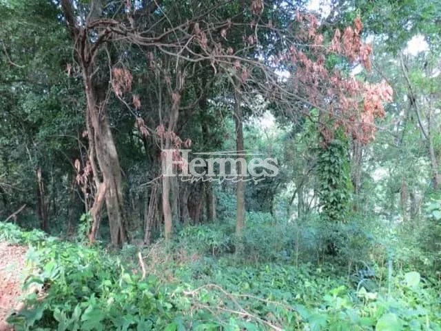 Terreno com 2041m², à venda, no bairro Jardim Santana em Campinas