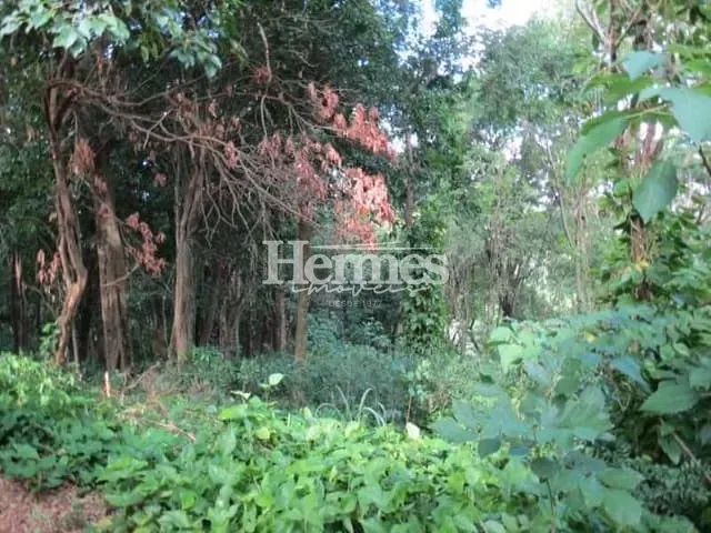 Terreno com 2041m², à venda, no bairro Jardim Santana em Campinas