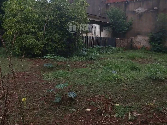 Terreno com 539m², à venda, no bairro Industrial em Londrina