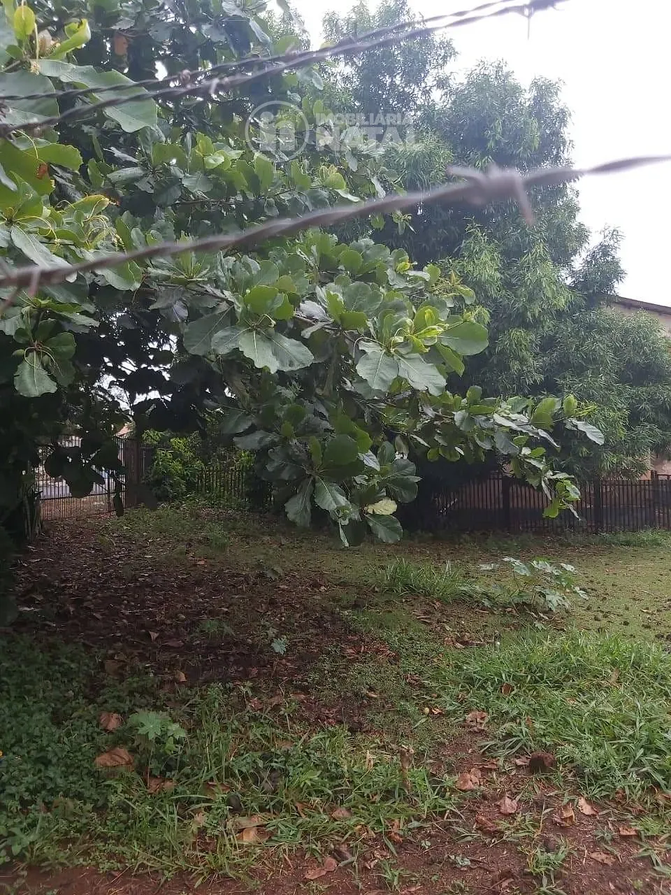 Terreno, 539 m² - Foto 11
