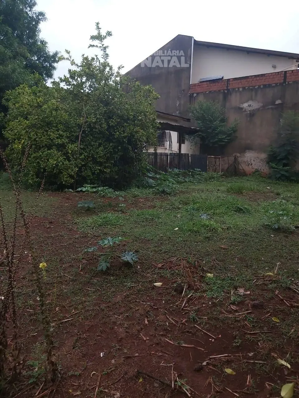 Terreno, 539 m² - Foto 3