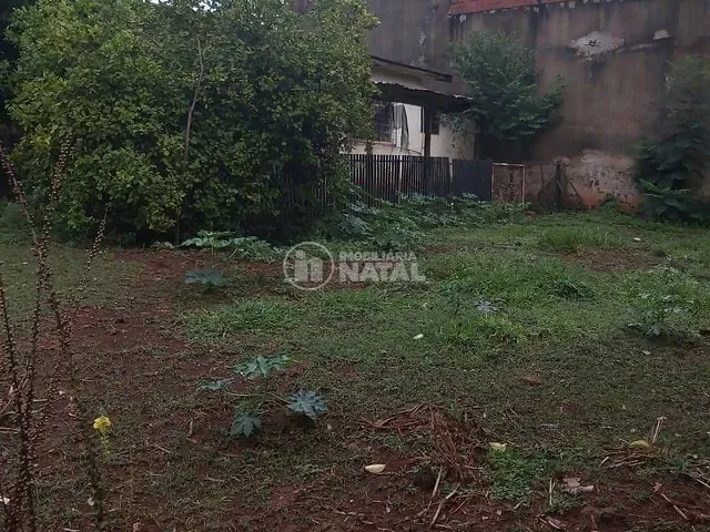 Terreno com 539m², à venda, no bairro Industrial em Londrina
