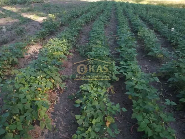 Terreno com 5180m², à venda, no bairro Centro em Biritiba Mirim