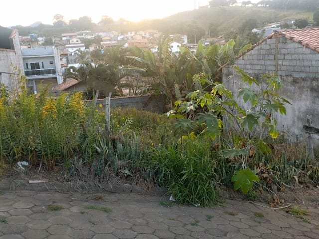 Terreno com 250m², à venda, no bairro Collen em Cambuí
