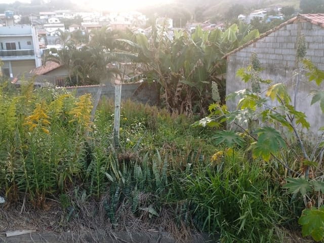 Terreno com 250m², à venda, no bairro Collen em Cambuí