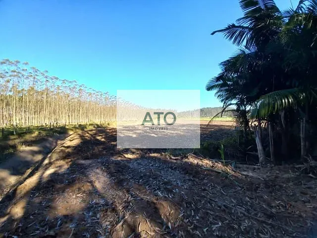 Terreno com 50000m², à venda, no bairro terra nova em Tijucas
