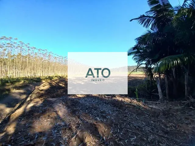 Terreno com 50000m², à venda, no bairro terra nova em Tijucas