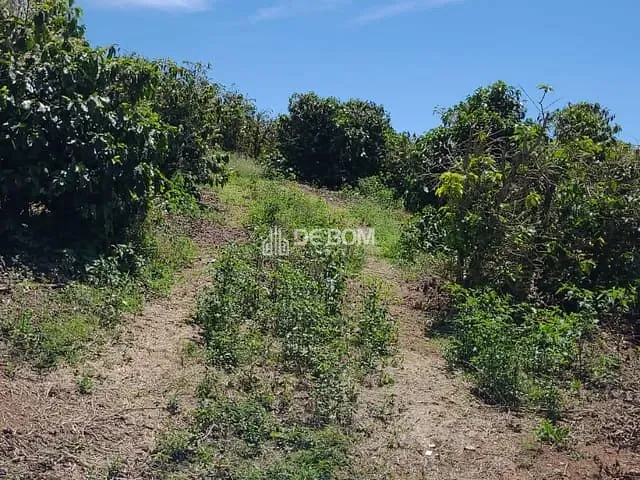 Terreno com 1000m², à venda, no bairro Córrego do engano em Caconde