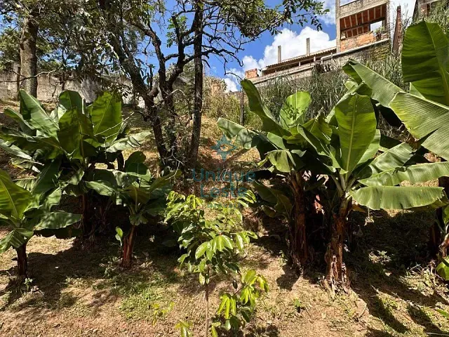 Terreno com 735m², à venda, no bairro Granja de Freitas em Belo Horizonte