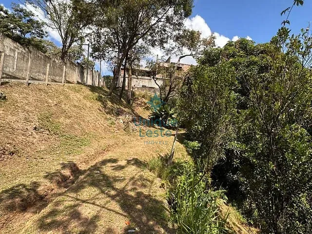 Terreno com 735m², à venda, no bairro Granja de Freitas em Belo Horizonte