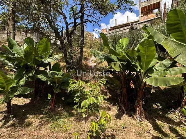 Terreno com 735m², à venda, no bairro Granja de Freitas em Belo Horizonte
