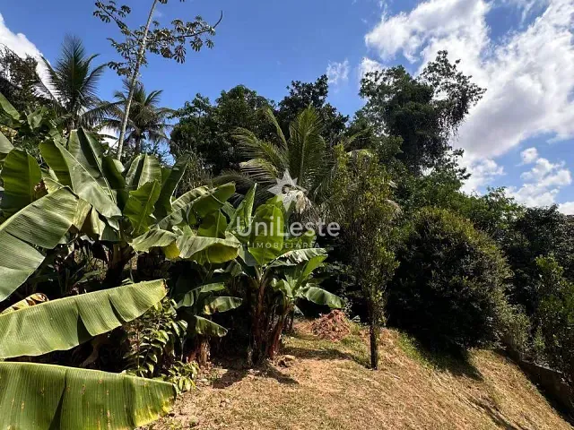 Terreno com 735m², à venda, no bairro Granja de Freitas em Belo Horizonte
