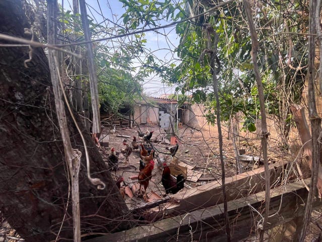 Terreno com 250m², à venda, no bairro Parque Valença II em Campinas