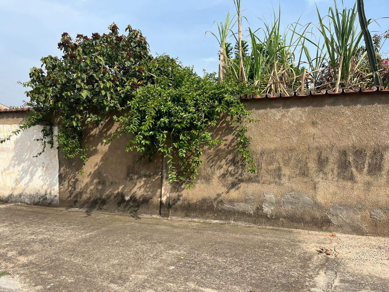 Terreno, 250 m² - Foto 2