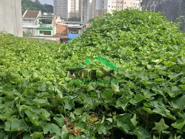 Terreno com 160m², à venda, no bairro Taboão em Diadema