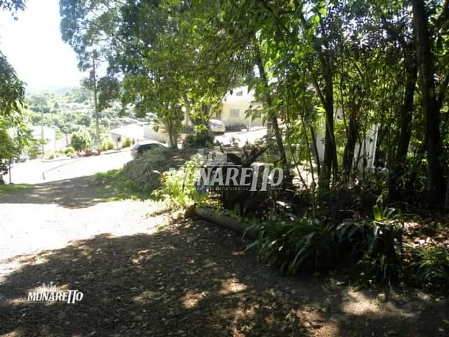 Terreno com 19376m², à venda, no bairro Centro em Piratuba
