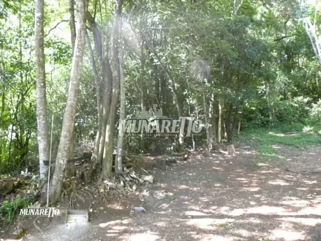 Terreno com 19376m², à venda, no bairro Centro em Piratuba