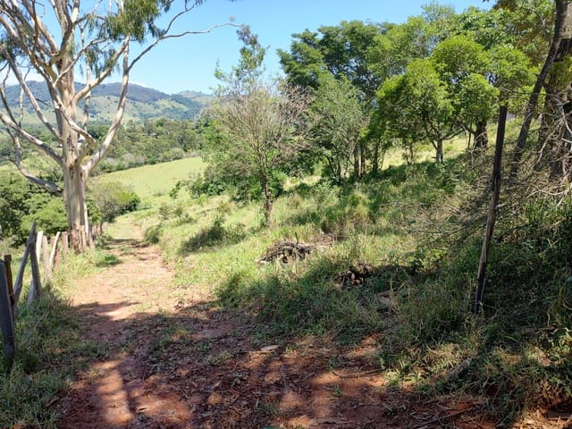 Terreno com 33000m², à venda, no bairro Rio do Peixe em Cambuí