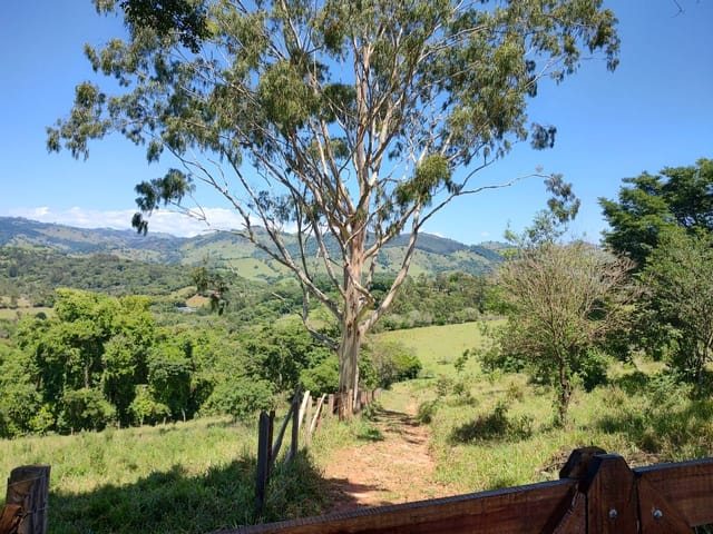 Terreno com 33000m², à venda, no bairro Rio do Peixe em Cambuí