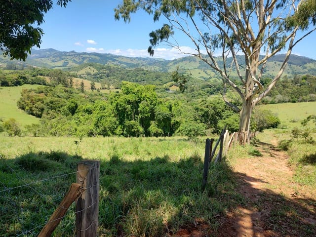 Terreno com 33000m², à venda, no bairro Rio do Peixe em Cambuí