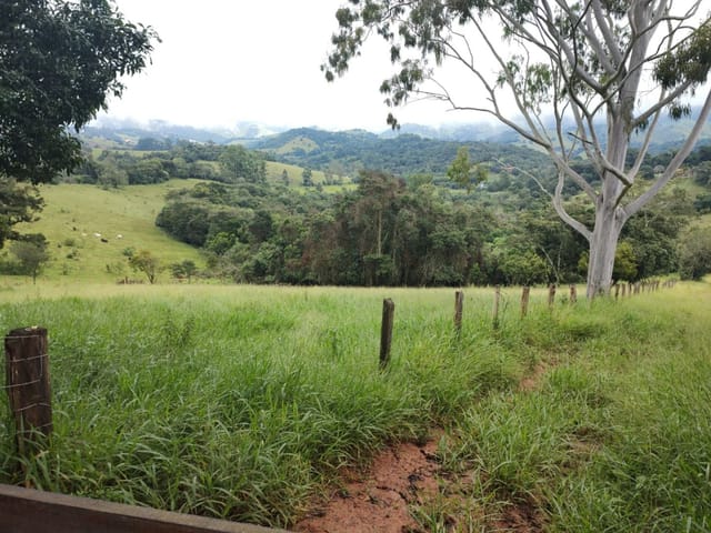 Terreno com 33000m², à venda, no bairro Rio do Peixe em Cambuí