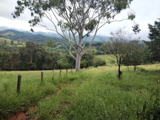 Terreno com 33000m², à venda, no bairro Rio do Peixe em Cambuí