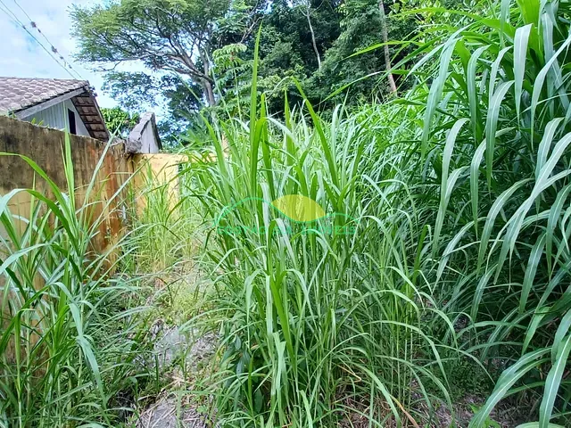 Terreno com 480m², à venda, no bairro Rio Tavares em Florianópolis