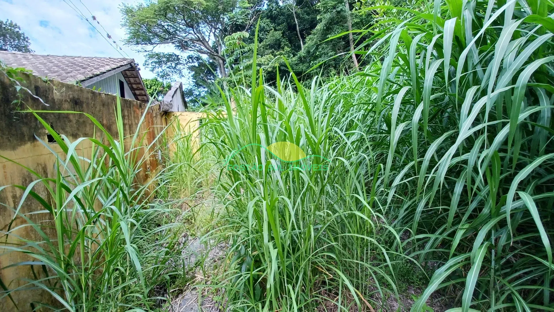 Terreno, 480 m² - Foto 2