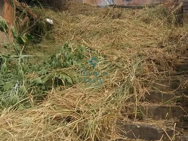 Terreno com 436m², à venda, no bairro União em Belo Horizonte