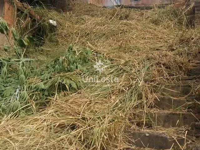 Terreno com 436m², à venda, no bairro União em Belo Horizonte