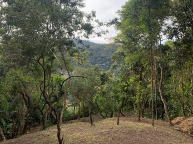 Terreno com 5400m², à venda, no bairro Araras em Petrópolis