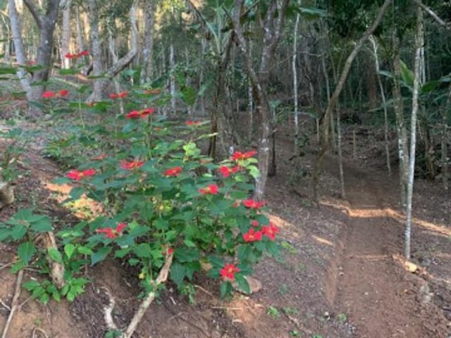 Terreno com 5400m², à venda, no bairro Araras em Petrópolis