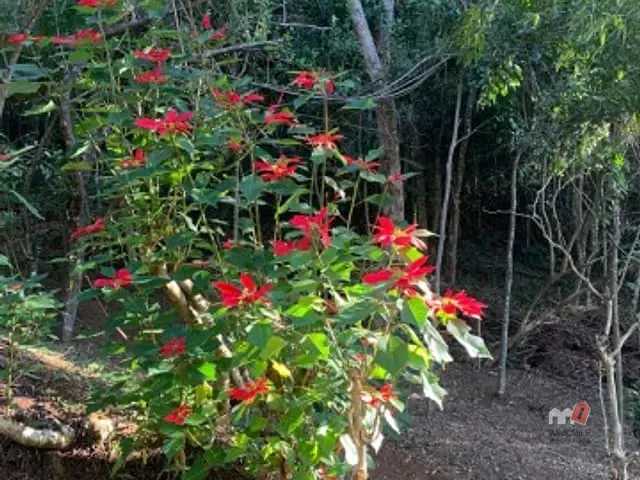 Terreno com 5400m², à venda, no bairro Araras em Petrópolis