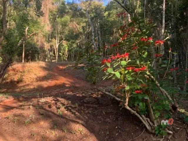Terreno com 5400m², à venda, no bairro Araras em Petrópolis