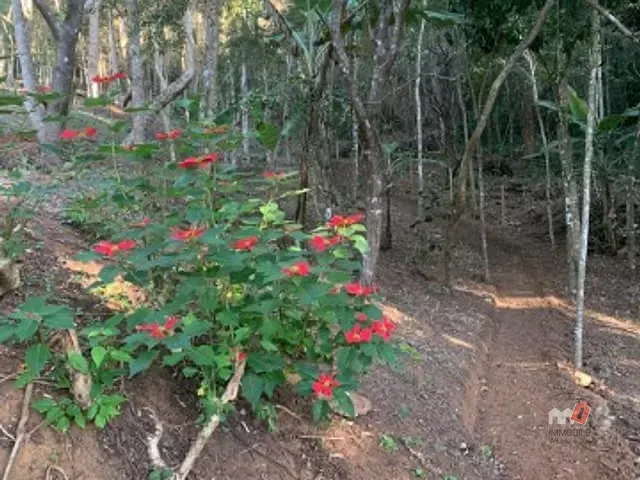 Terreno com 5400m², à venda, no bairro Araras em Petrópolis