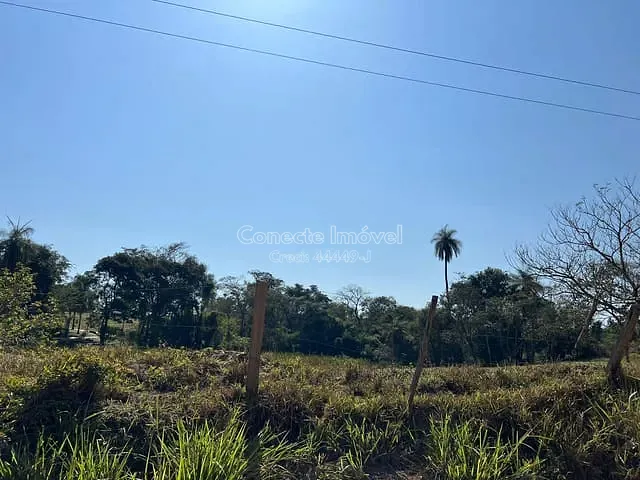 Chácara com 5000m², à venda, no bairro Área Rural de Jaguariúna em Jaguariúna