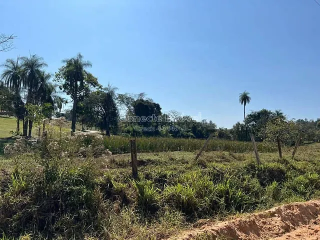 Chácara com 5000m², à venda, no bairro Área Rural de Jaguariúna em Jaguariúna