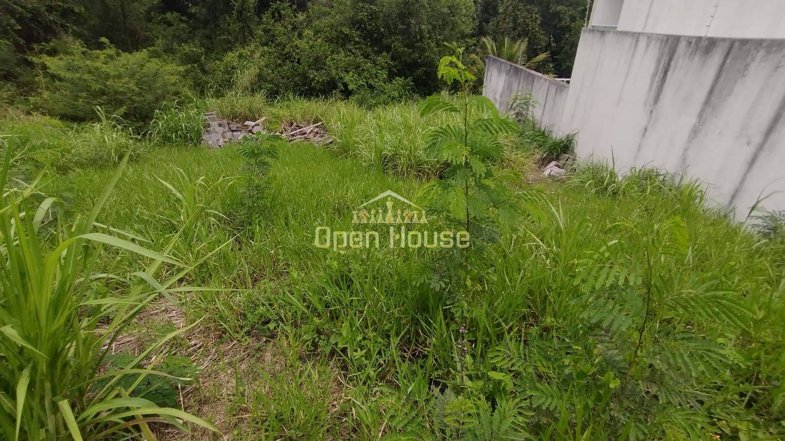 Terreno, 345 m² - Foto 4