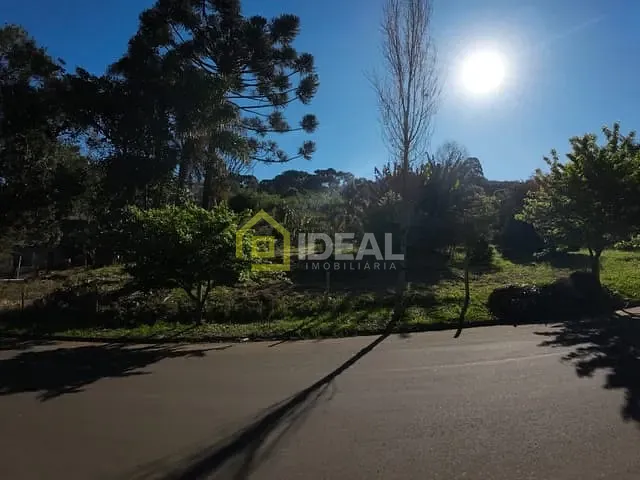 Terreno com 6000m², à venda, no bairro Arvoredo em Concórdia