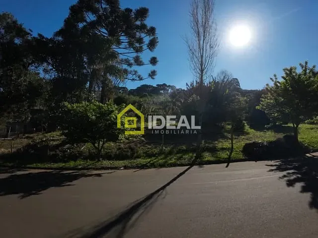 Terreno com 6000m², à venda, no bairro Arvoredo em Concórdia