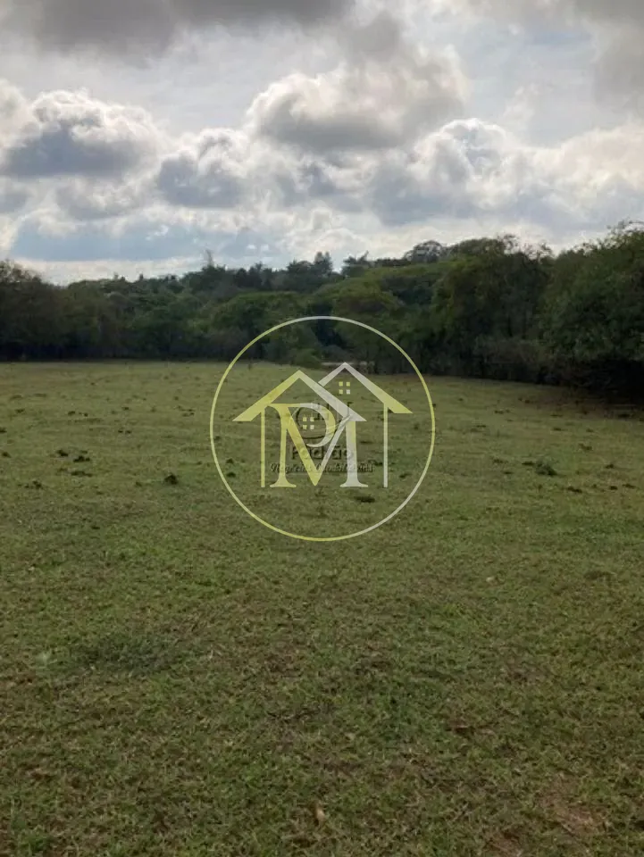 Terreno, 3 hectares - Foto 3