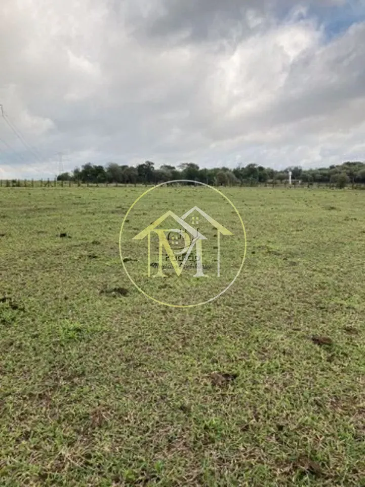 Terreno, 3 hectares - Foto 8