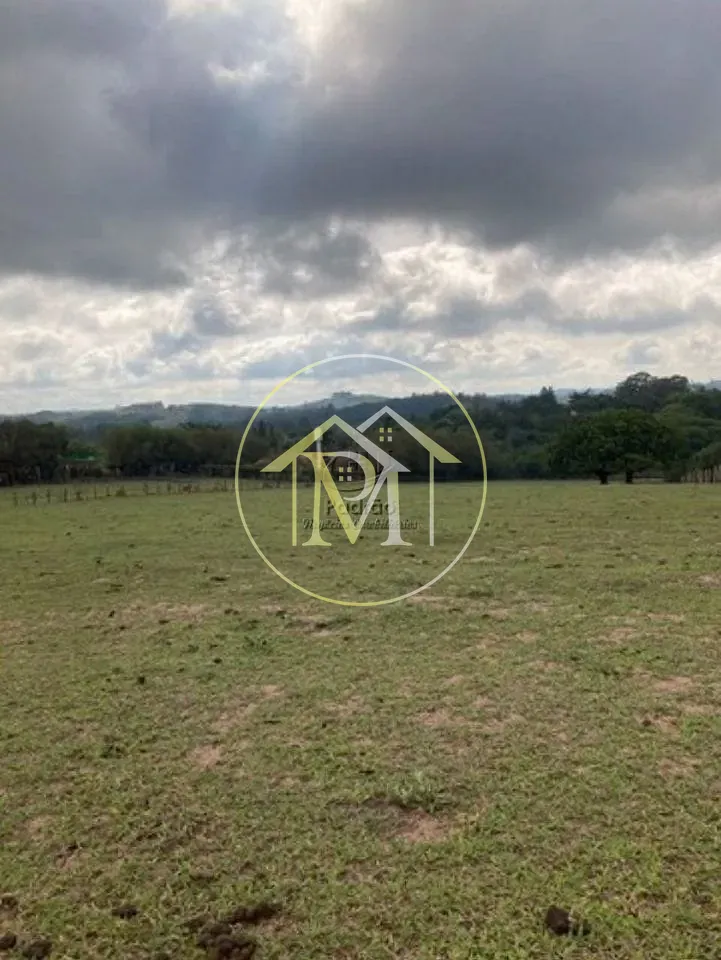 Terreno, 3 hectares - Foto 4