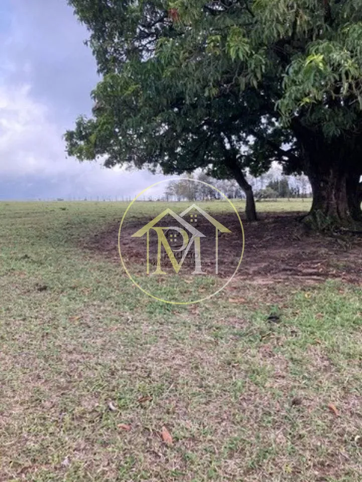 Terreno, 3 hectares - Foto 2