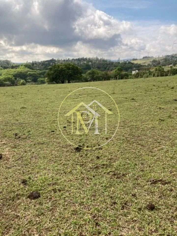 Terreno, 3 hectares - Foto 1