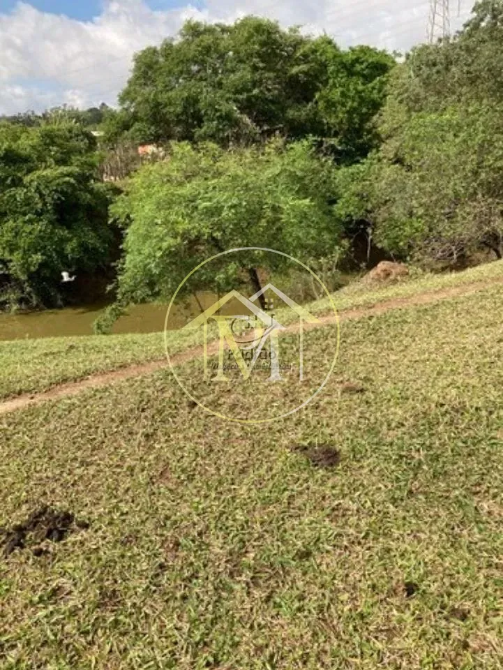 Terreno, 3 hectares - Foto 6